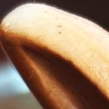https://cdn-images.dzcdn.net/images/artist/a7f34de9aaaf2dcde18446682886d3f7/1000x1000-000000-80-0-0.jpg