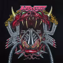 https://cdn-images.dzcdn.net/images/artist/3f748fb008d21c55402bdba63a872360/1000x1000-000000-80-0-0.jpg