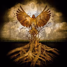 https://cdn-images.dzcdn.net/images/artist/0c24412c15fed8487db1b7414d72204d/1000x1000-000000-80-0-0.jpg