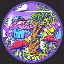 https://cdn-images.dzcdn.net/images/artist/2c3907308f63ae3b4640313bfb36d76c/1000x1000-000000-80-0-0.jpg
