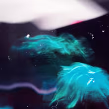 https://cdn-images.dzcdn.net/images/artist/44cec9700eb10031e641e39fcd66ec71/1000x1000-000000-80-0-0.jpg