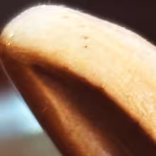 https://cdn-images.dzcdn.net/images/artist/a7f34de9aaaf2dcde18446682886d3f7/1000x1000-000000-80-0-0.jpg