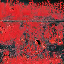 https://cdn-images.dzcdn.net/images/artist/0c24313e97606cf3b453cde9ec5c1175/1000x1000-000000-80-0-0.jpg