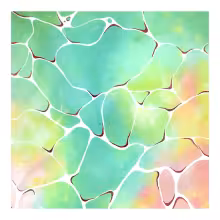 https://cdn-images.dzcdn.net/images/artist/844e0e8c24163162bd020c3fb117d08e/1000x1000-000000-80-0-0.jpg