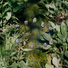 https://cdn-images.dzcdn.net/images/artist/6898f6550e0e3b4445a0f39c706f7c07/1000x1000-000000-80-0-0.jpg