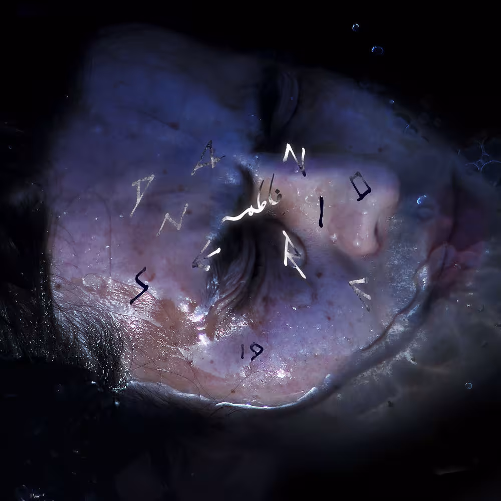 https://cdn-images.dzcdn.net/images/artist/c24b739dc128a2ddb6e9f5c32f2870eb/1000x1000-000000-80-0-0.jpg